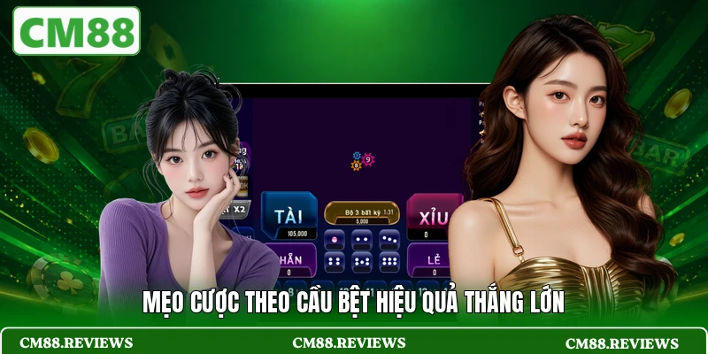 Mẹo cược theo cầu bệt hiệu quả thắng lớn