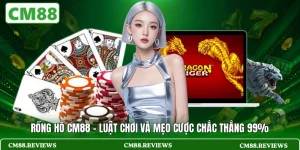Rồng Hổ